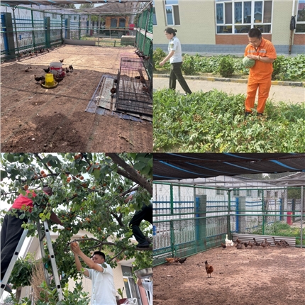 IMG_0469.JPG IMG_0469.JPG